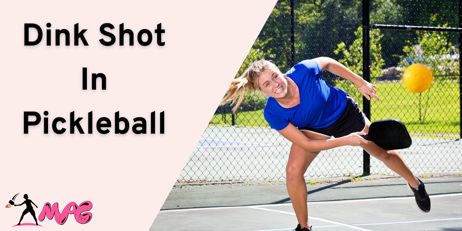 What is Dink Shot In Pickleball